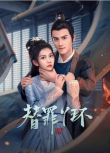 2025大陸劇《替罪丫鬟》賀靈榣/李璟羿 國語中字 盒裝2碟