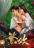2025大陸劇《繁歡/替弈》柯穎/張庭睿 國語中字 盒裝2碟