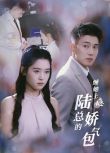 2024大陸短劇 纏她上癮陸總的嬌氣包/陸總夫人是實習生 黃文博/翟一瑩 國語中字