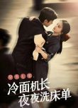 2024大陸短劇 穿書七零，冷面機長夜夜洗床單 馬秋元/何聰睿 國語中字