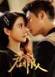 2025大陸劇《君非良人/浮光》李墨之/代高政 國語中字 盒裝2碟