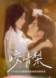 2025大陸短劇 咬清梨 馬秋元/何聰睿 國語中字